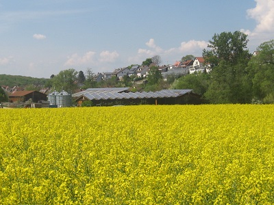 zu-uns-hofbild